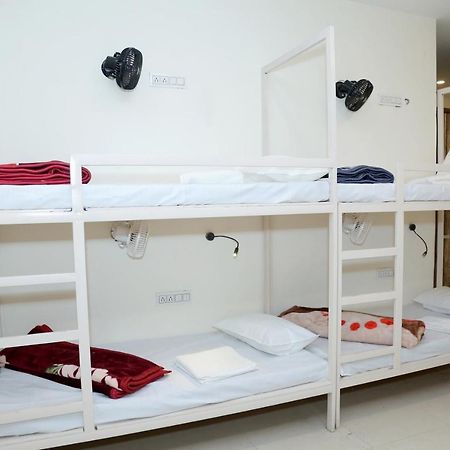 The Charlie'S Hostel New Delhi Eksteriør billede