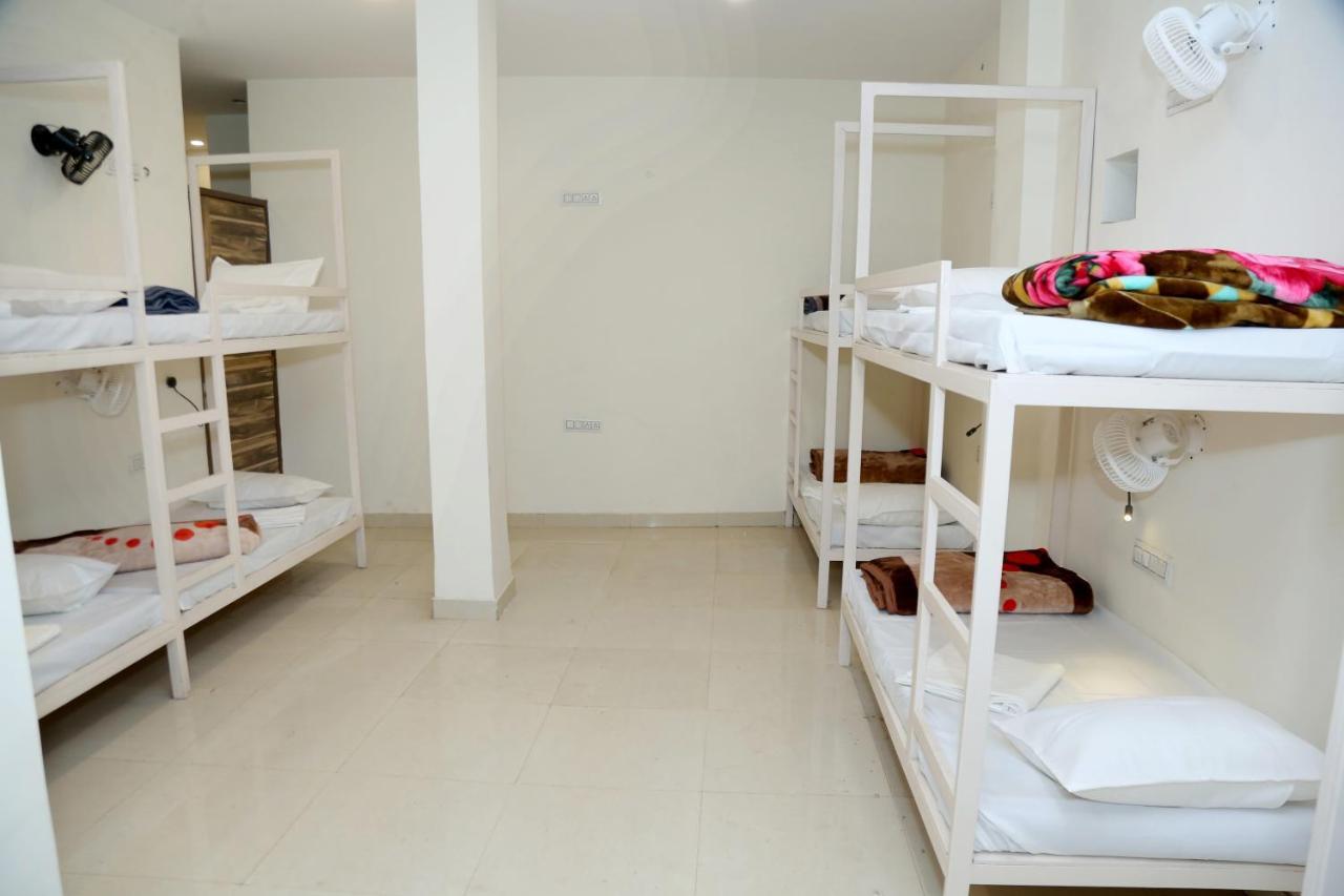 The Charlie'S Hostel New Delhi Eksteriør billede